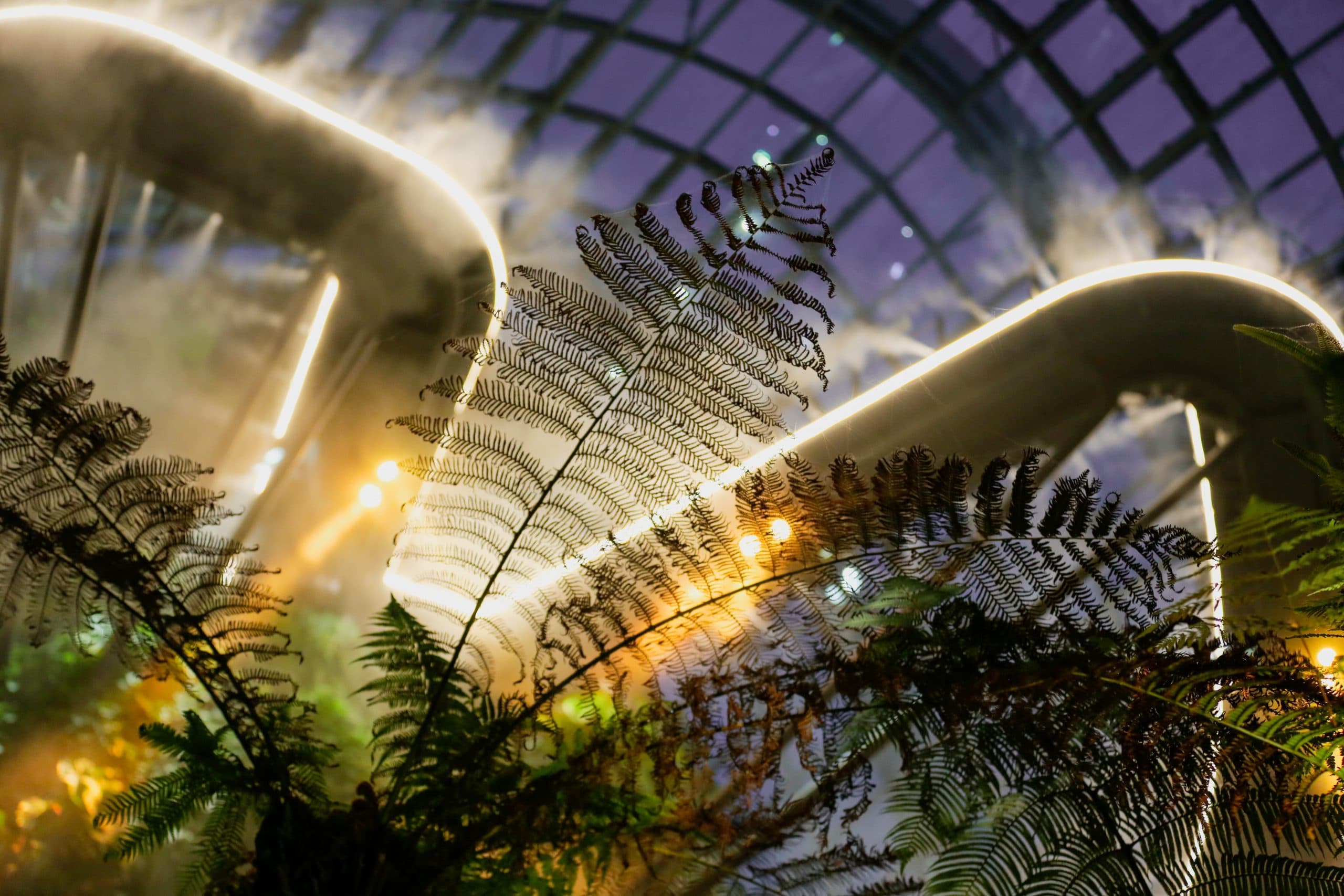 The Advantages of Using Cloud-Based Machine Learning for Predictive Analytics